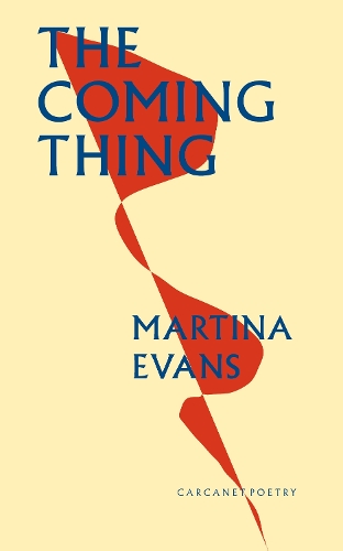 Паперова книга «The Coming Thing», автор Мартіна Еванс - фото №1