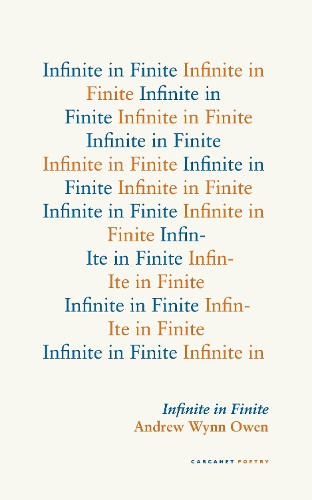 Бумажная книга «Infinite in Finite», автор Эндрю Уинн Оуэн - фото №1