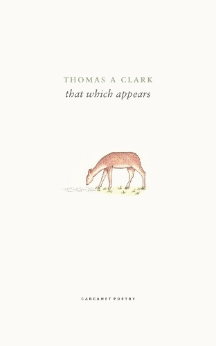 Бумажная книга «that which appears» - фото №1