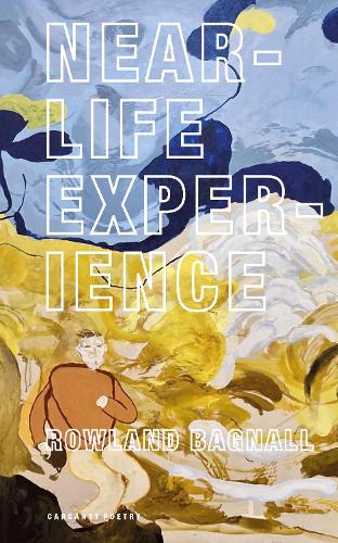 Бумажная книга «Near-Life Experience», автор Роуленд Багнолл - фото №1