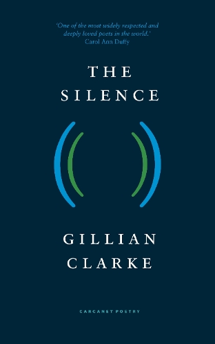 Бумажная книга «The Silence», автор Джиллиан Кларк - фото №1