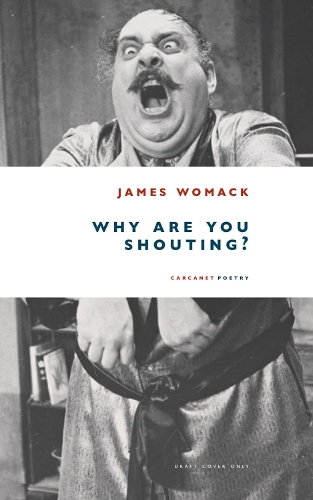 Бумажная книга «Why Are You Shouting?» - фото №1