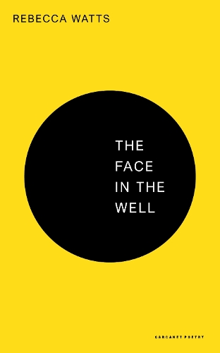 Паперова книга «The Face in the Well», автор Ребекка Уоттс - фото №1