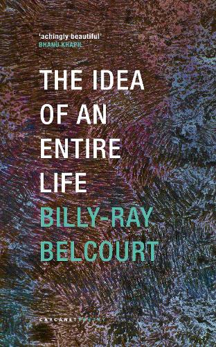 Паперова книга «The Idea of an Entire Life», автор Біллі-Рей Белкорт - фото №1
