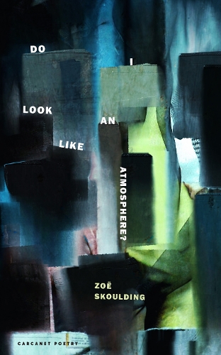 Бумажная книга «Do I Look Like an Atmosphere?», автор Зои Скоулдинг - фото №1