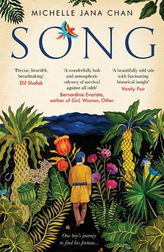 Паперова книга «Song», автор Мішель Джана Чан - фото №1