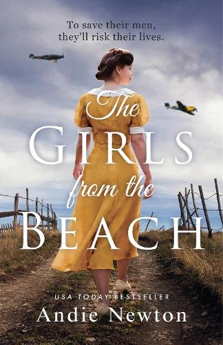 Паперова книга «The Girls from the Beach», автор Енді Ньютон - фото №1