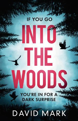 Бумажная книга «Into the Woods», автор Д. Л. Марк - фото №1