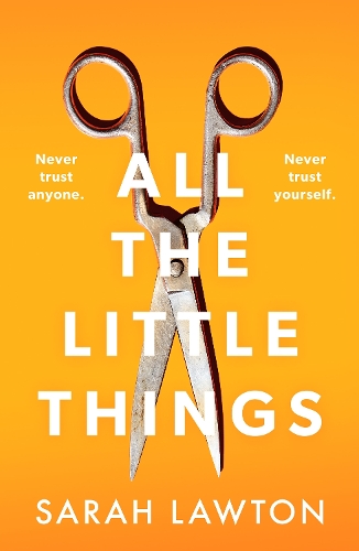 Бумажная книга «All The Little Things: A tense and gripping thriller with an unforgettable ending», автор Сара Лоутон - фото №1