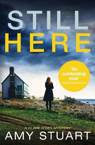 Бумажная книга «Still Here: An absolutely gripping private investigator crime novel», автор Эми Стюарт - фото №1