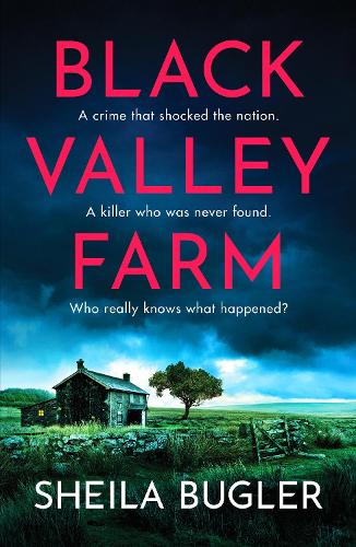 [object Object] «Black Valley Farm: An absolutely unputdownable crime thriller», автор Шейла Баглер - фото №1