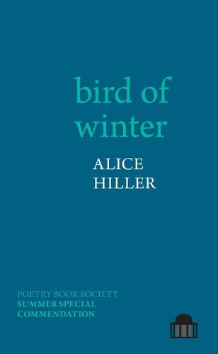 Бумажная книга «bird of winter», автор Алиса Хиллер - фото №1