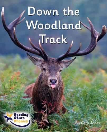 Бумажная книга «Down the Woodland Track: Phase 4», автор Кэт Джонс - фото №1