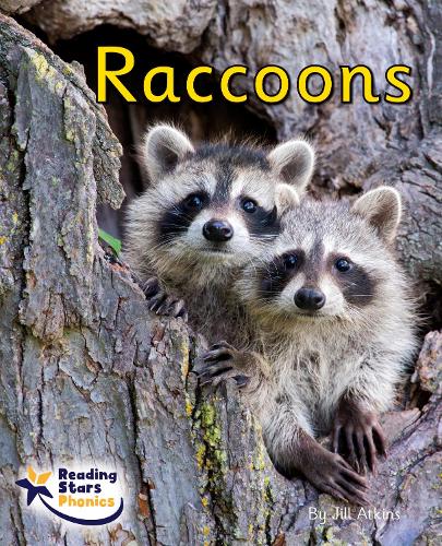 Бумажная книга «Raccoons: Phase 4», автор Джилл Аткинс - фото №1