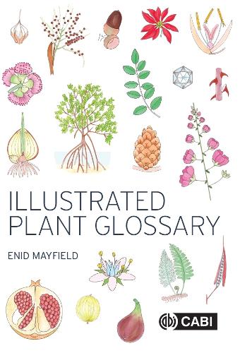 Паперова книга «Illustrated Plant Glossary», автор Енід Мейфілд - фото №1