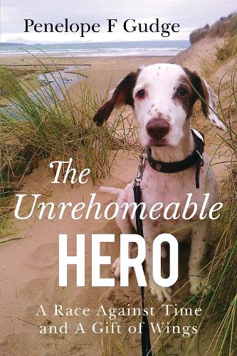 Бумажная книга «The Unrehomeable Hero, A Race Against Time & A Gift of Wings», автор Пенелопа Ф. Гадж - фото №1
