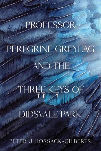 Бумажная книга «Professor Peregrine Greylag and the Three Keys of Didsvale Park», автор Питер Дж. Хоссак-Гилбертс - фото №1