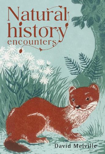 Бумажная книга «Natural History Encounters», автор Д. Дж. Мелвилл - фото №1