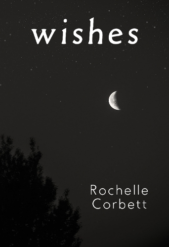 Бумажная книга «Wishes», автор Рошель Корбетт - фото №1