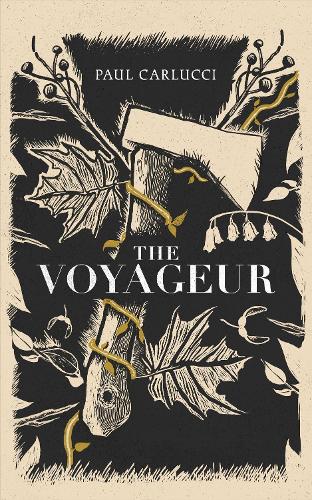 Бумажная книга «The Voyageur: 'Marvellous work of art' John Banville», автор Пол Карлуччи - фото №1