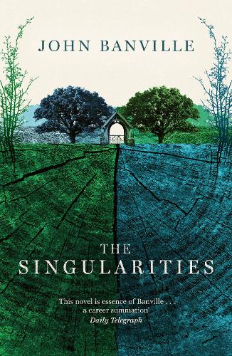 Паперова книга «The Singularities», автор Джон Банвілл - фото №1
