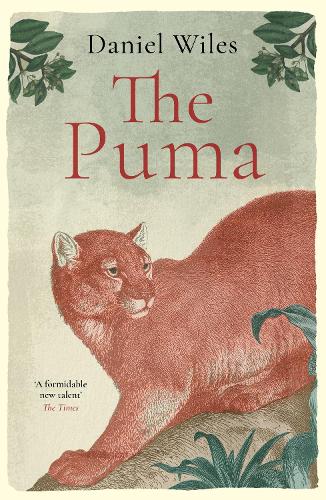 Паперова книга «The Puma: 'A formidable new talent' The Times», автор Деніел Вайлс - фото №1