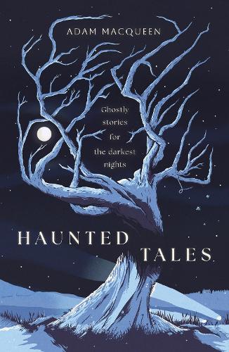 Бумажная книга «Haunted Tales: Ghostly stories for the darkest nights. 'Festive and Fascinating' Christmas Read.», автор Адам Маккуин - фото №1