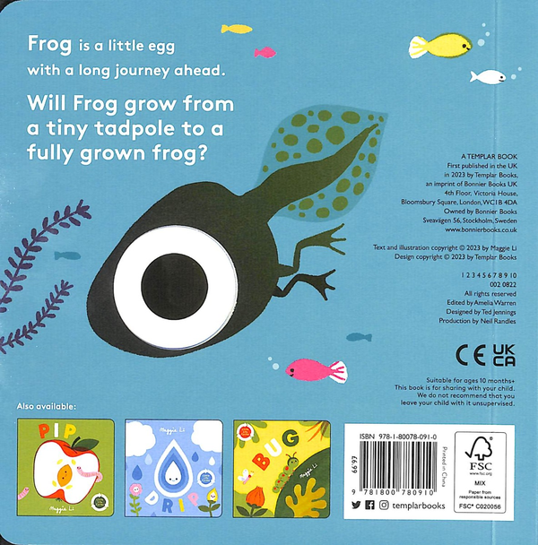 Бумажная книга «Little Life Cycles. Frog», автор Мэгги Ли - фото №1