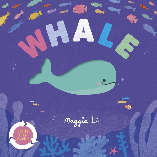 Паперова книга «Little Life Cycles: Whale», автор Меггі Лі - фото №1