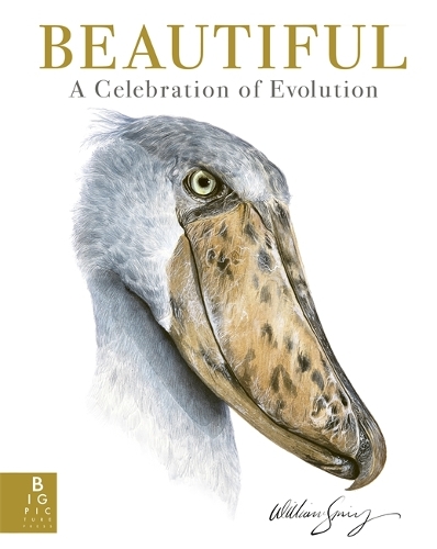 Паперова книга «Beautiful: A Celebration of Evolution», автор Вільям Спрінг - фото №1