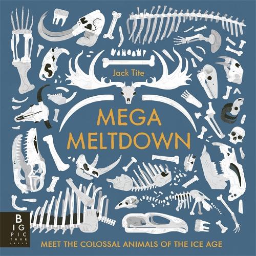 Паперова книга «Mega Meltdown», автор Джек Тайт - фото №1
