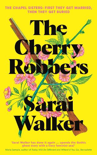 Паперова книга «The Cherry Robbers», автор Сарай Вокер - фото №1