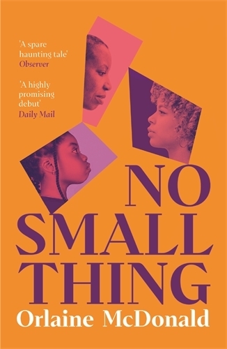Бумажная книга «No Small Thing: Shortlisted for the 2024 Nero Book Awards for Debut Fiction», автор Орлейн Макдональд - фото №1