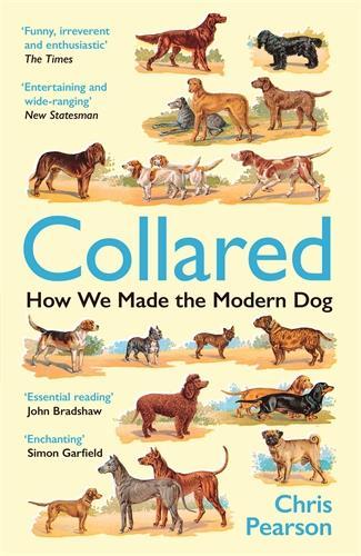 Паперова книга «Collared: How We Made the Modern Dog», автор Кріс Пірсон - фото №1