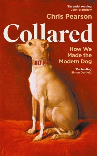 Бумажная книга «Collared: How We Made the Modern Dog», автор Крис Пирсон - фото №1
