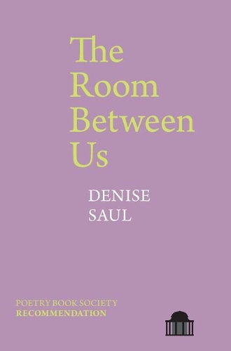 Паперова книга «The Room Between Us», автор Деніз Соул - фото №1