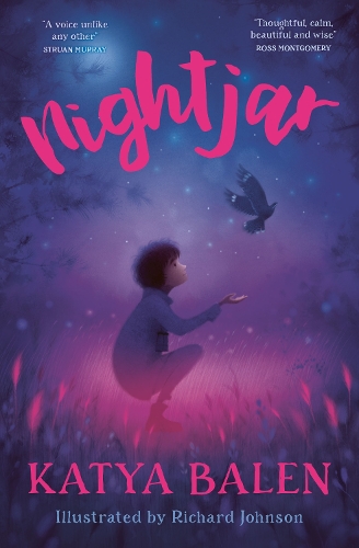 Бумажная книга «Nightjar» - фото №1