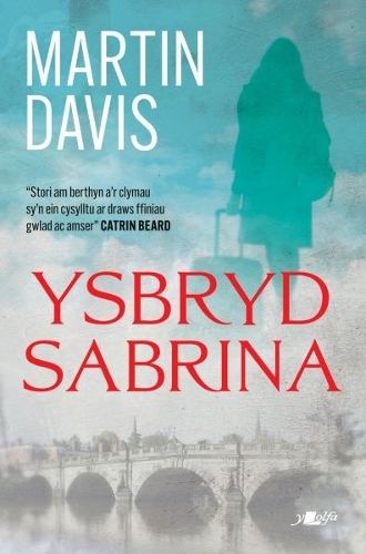 Бумажная книга «Ysbryd Sabrina», автор Мартин Дэвис - фото №1
