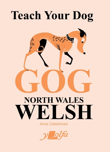 Паперова книга «Teach Your Dog Gog: North Wales Welsh», автор Енн Кейкбред - фото №1