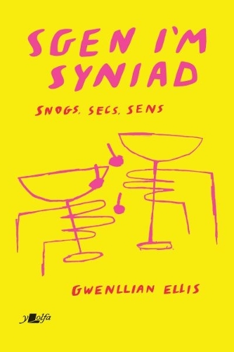 Бумажная книга «Sgen I'm Syniad - Snogs, Secs, Sens: Snogs, Secs, Sens», автор Гвенллиан Эллис - фото №1