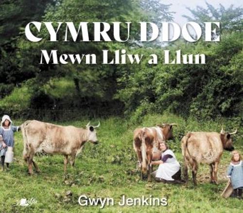 Бумажная книга «Cymru Ddoe Mewn Lliw a Llun», автор Гвин Дженкинс - фото №1