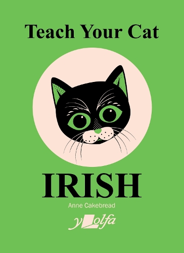 Паперова книга «Teach Your Cat Irish», автор Енн Кейкбред - фото №1