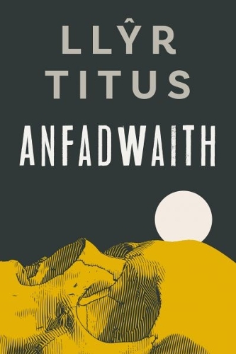 Паперова книга «Anfadwaith», автор Ллір Тіт - фото №1