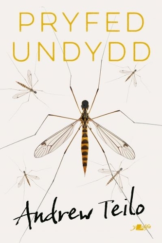 Бумажная книга «Pryfed Undydd», автор Эндрю Тейло - фото №1