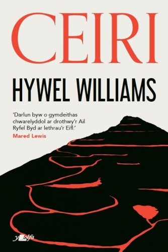 Бумажная книга «Ceiri», автор Хайвел Уильямс - фото №1