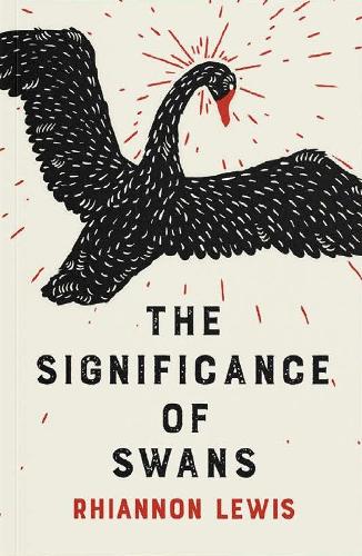 Бумажная книга «The Significance of Swans», автор Рианнон Льюис - фото №1