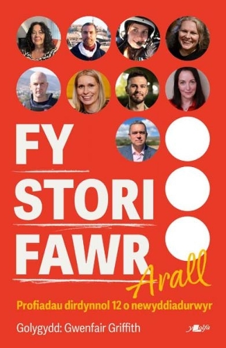 Бумажная книга «Fy Stori Fawr Arall - Profiadau dirdynnol 12 o newyddiadurwyr», автор Гвенфэр Гриффит - фото №1