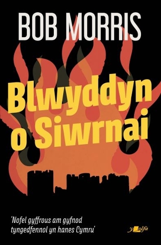 Бумажная книга «Blwyddyn o Siwrnai», автор Боб Моррис - фото №1