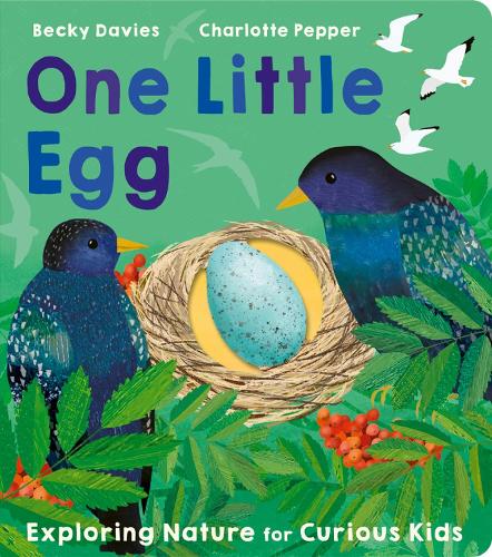Паперова книга «One Little Egg», автор Беккі Девіс - фото №1