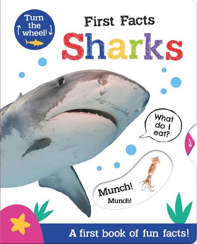 [object Object] «First Facts Sharks», автор Джорджи Тейлор - фото №1
